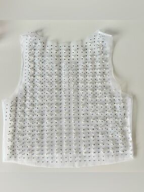 Beaded Sheer Mesh Crop Top